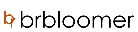 brbloomer Agency